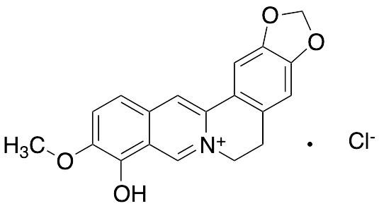 Berberrubine Chloride - image 1