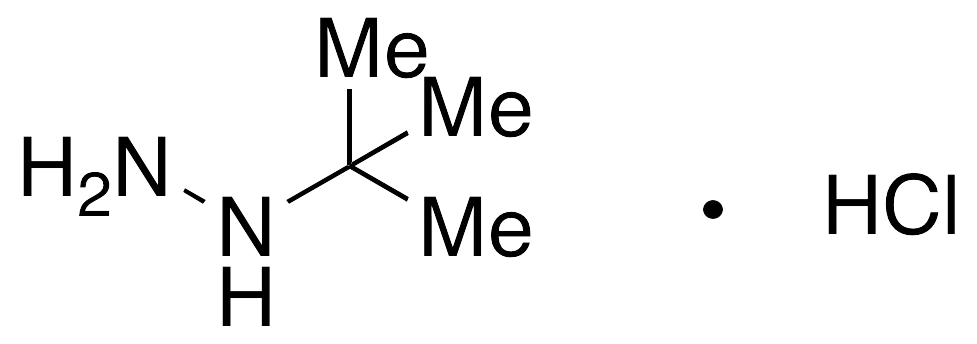 tert-Butylhydrazine Hydrochloride - image 1
