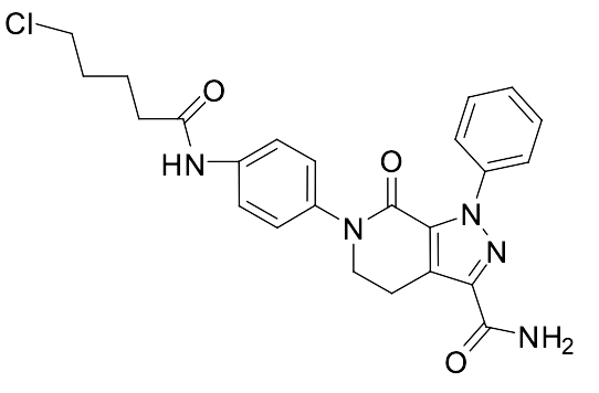 Chloropentanamidophenyl Desmethoxy Apixaban - image 1