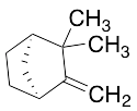 (+)-Camphene - image 1