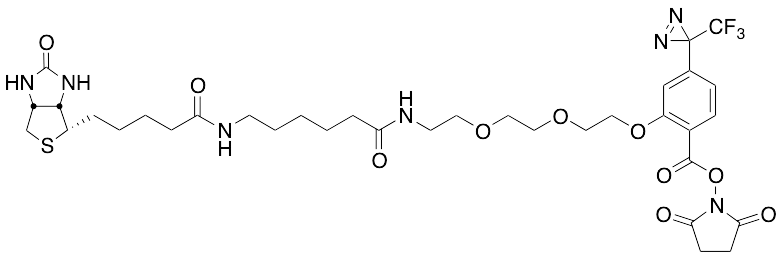 2-[2-[2-[2-[6-(Biotinylaminohexanoyl]aminoethoxy]ethoxy]ethoxy]-4-[3-(trifluoromethyl)-3H-diazirin-3-yl]benzoic Acid N-Hydroxysuccinimide Ester - image 1
