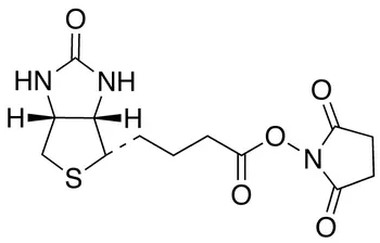Biotin NHS - image 1