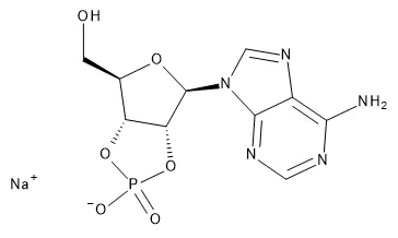 Adenosine-2’,3’-cyclic Monophosphate Sodium Salt - image 1
