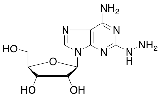 2-Hydrazino Adenosine - image 1