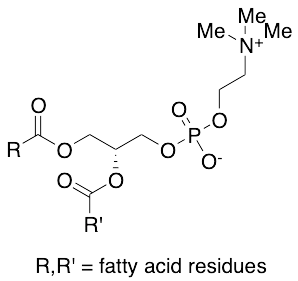 Lecithin (Technical Grade) - image 1