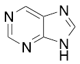 Purine - image 1