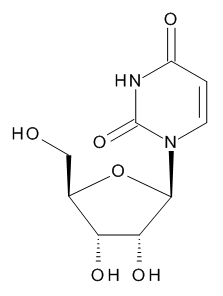 Uridine - image 1