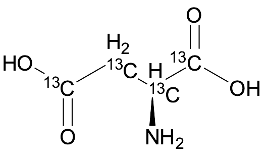 L-Aspartic-13C4 Acid - image 1