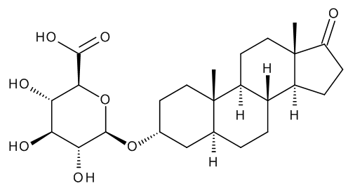 Androsterone b-D-Glucuronide - image 1