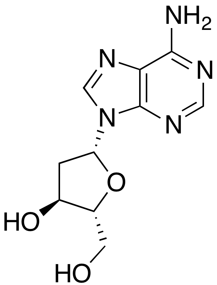 2’-Deoxyadenosine - image 1