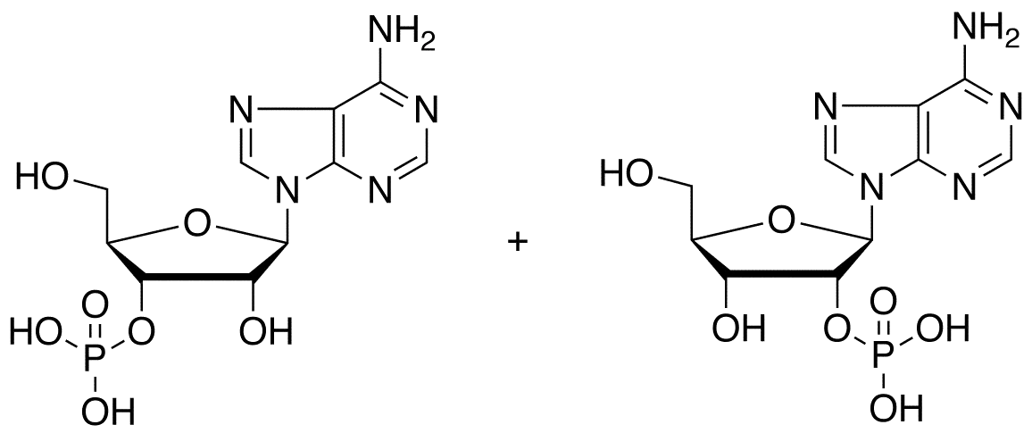 Adenosine Monophosphate (mixture of 2’(3’)-phosphate isomers) - image 1