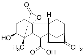 Gibberellin A4 - image 1