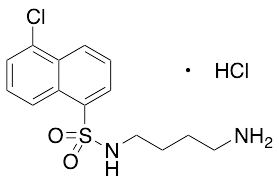 N-(4-Aminobutyl)-5-chloro-1-naphthalenesulfonamide Hydrochloride - image 1