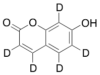 7-Hydroxy Coumarin-d5 - image 1