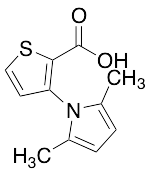 3-(2,5-Dimethyl-1H-pyrrol-1-yl)-2-thiophenecarboxylic Acid - image 1