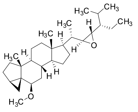 (3alpha,5R,6beta,22S,23S)-22,23-Epoxy-6-methoxy-3,5-cyclostigmastane - image 1
