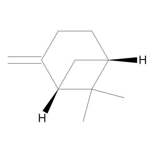 (S)-b-Pinene - image 1