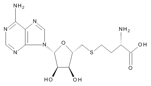 S-(5'-Adenosyl)-L-homocysteine - image 1