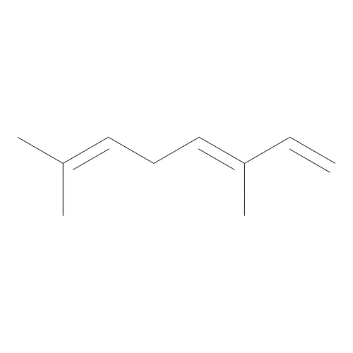 trans-beta-Ocimene - image 1