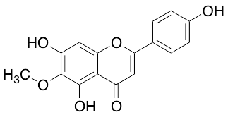 Hispidulin - image 1