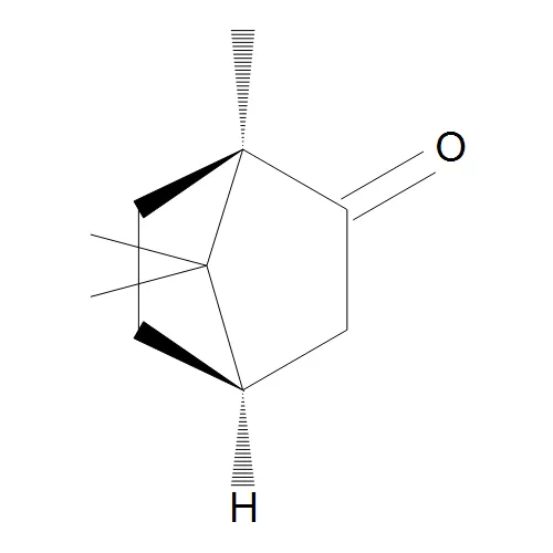 (R)-(+)-Camphor - image 1