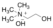 Choline Hydroxide in Methanol Solution (~45% w/w, stabilized with 0.5% Paraformaldehyde) - image 1