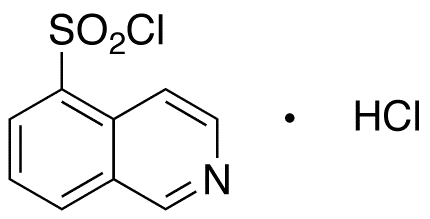 Isoquinoline-5-sulfonyl Chloride, Hydrochloride - image 1