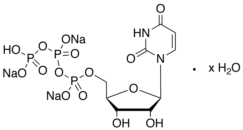 Uridine 5’-Triphosphate Trisodium Salt Hydrate - image 1