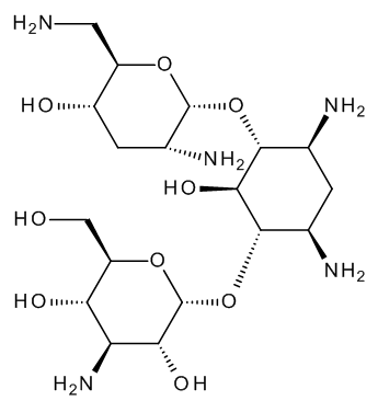 Tobramycin - image 1