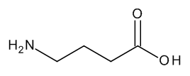 gamma-Aminobutyric Acid - image 1