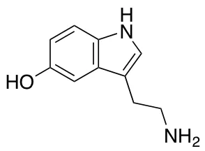 5-Hydroxytryptamine - image 1