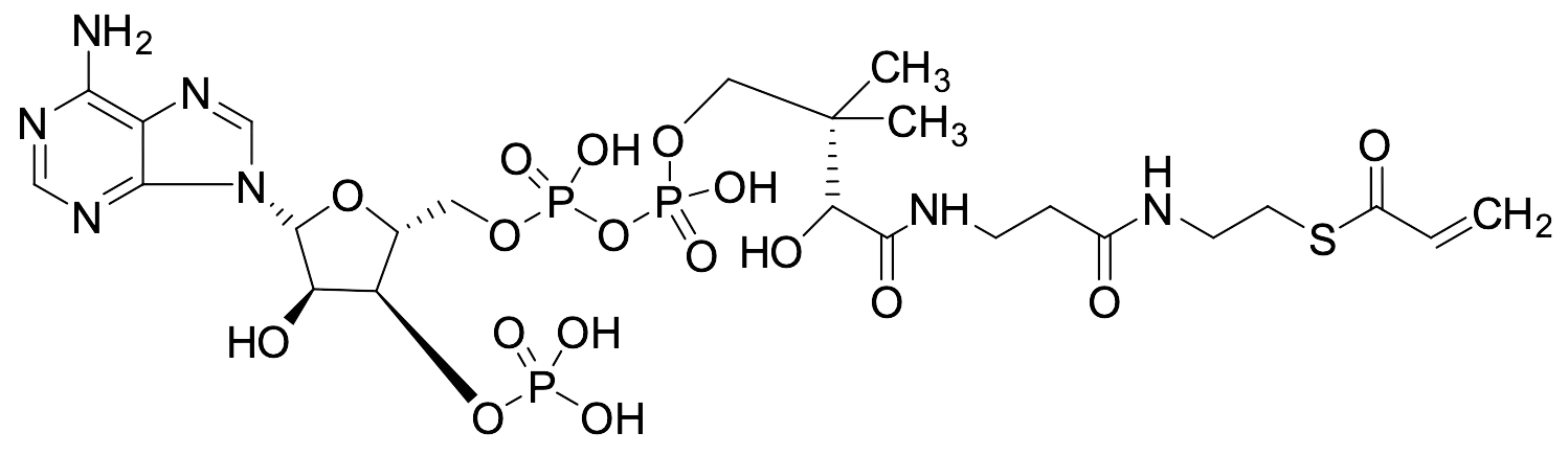 Acryloyl-CoA - image 1
