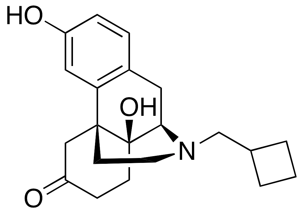 6-Oxo (-)-Butorphanol - image 1