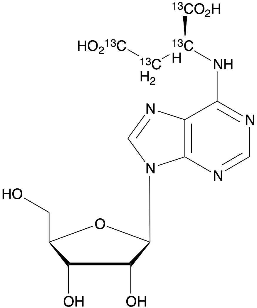 N6-Succinyl Adenosine-13C4 - image 1