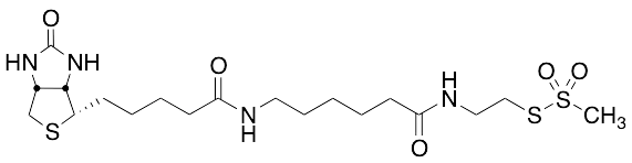 N-Biotinylcaproylaminoethyl Methanethiosulfonate - image 1