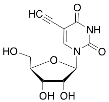 5-Ethynyluridine - image 1