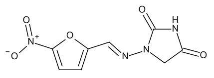 Nitrofurantoin - image 1