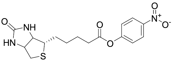 (+)-Biotin-ONP - image 1