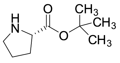 L-Proline tert-Butyl Ester - image 1