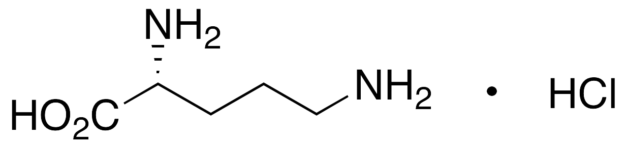 D-Ornithine Hydrochloride - image 1