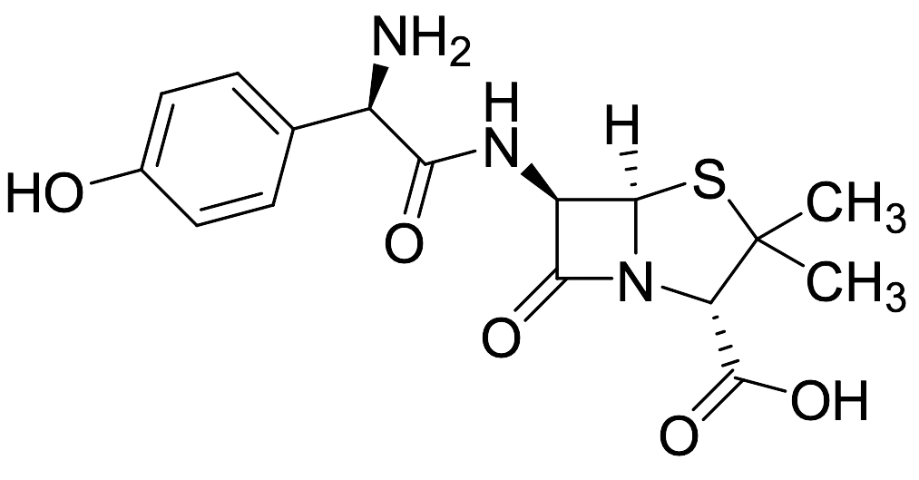 Amoxicillin - image 1