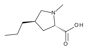 (trans)-4-Propyl-1-methyl-L-proline - image 1