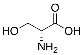 D-Serine - image 1