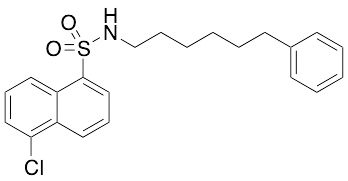 N-(6-Phenylhexyl)-5-chloro-1-naphthalenesulfonamide - image 1