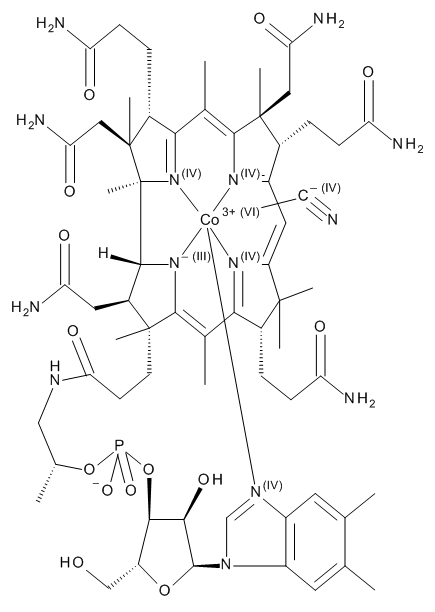 Vitamin B12 - image 1
