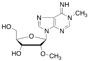 N1,O2'-Dimethyladenosine - image 1