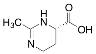 (S)-2-Methyl-1,4,5,6-tetrahydropyrimidine-4-carboxylic Acid - image 1