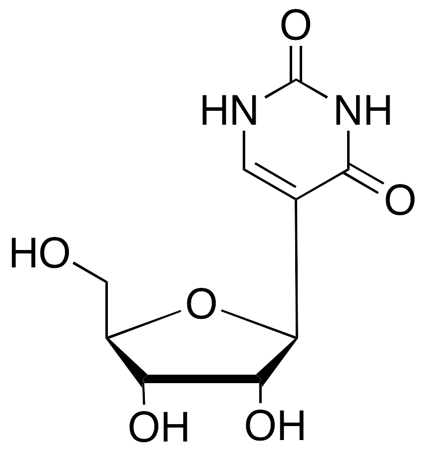 Beta-Pseudouridine - image 1