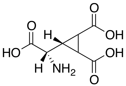 DCG IV - image 1