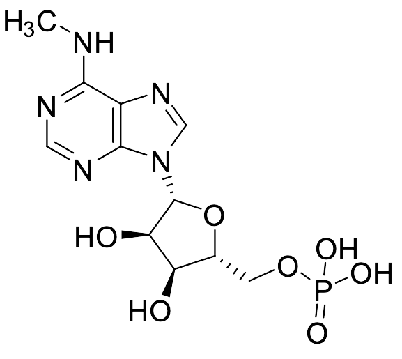 N6-Methyladenosine-5'-monophosphate Sodium Salt - image 1